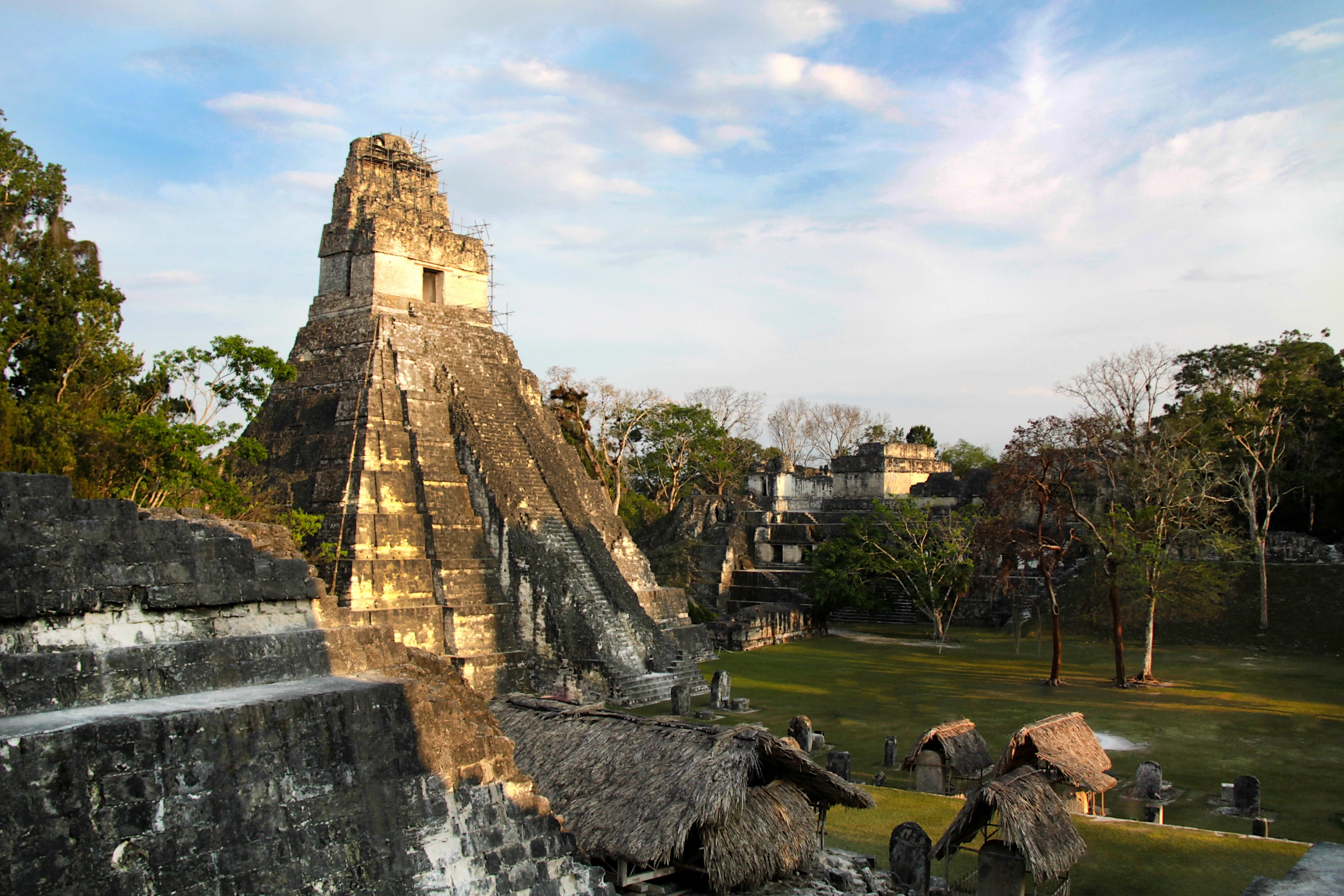 Tikal[1].webp